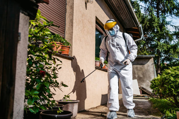 Wasp Removal Services in Mirrormont, WA